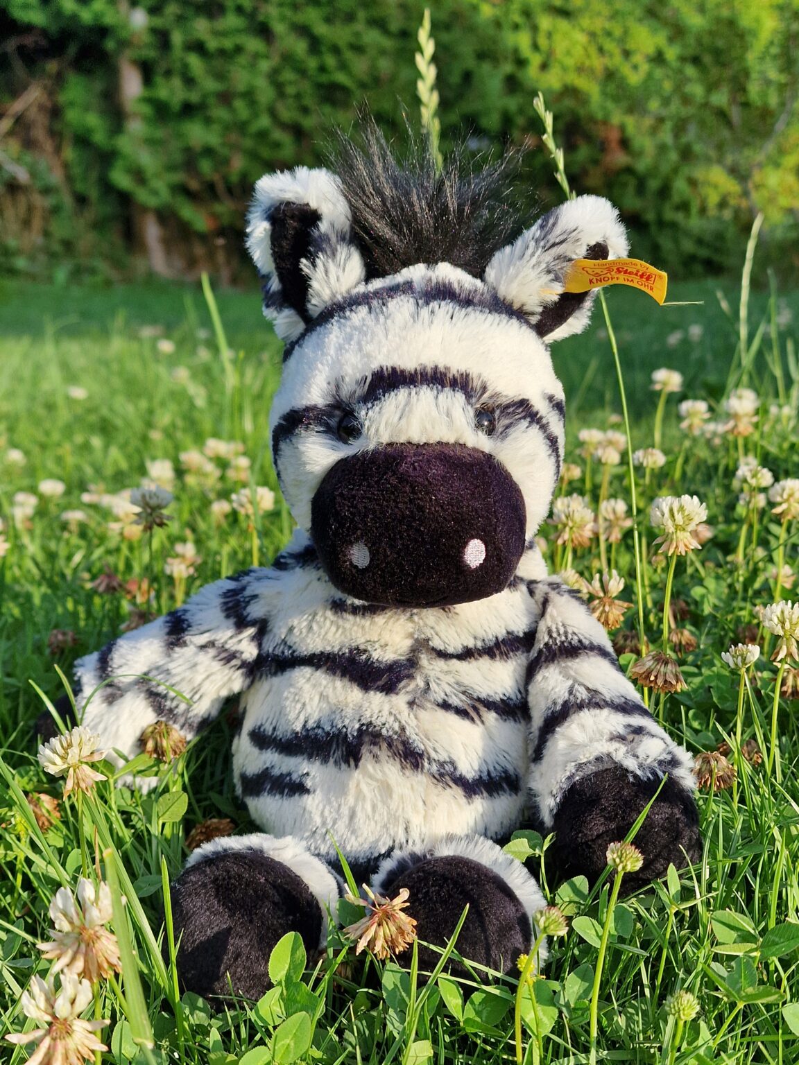Zebraklasse