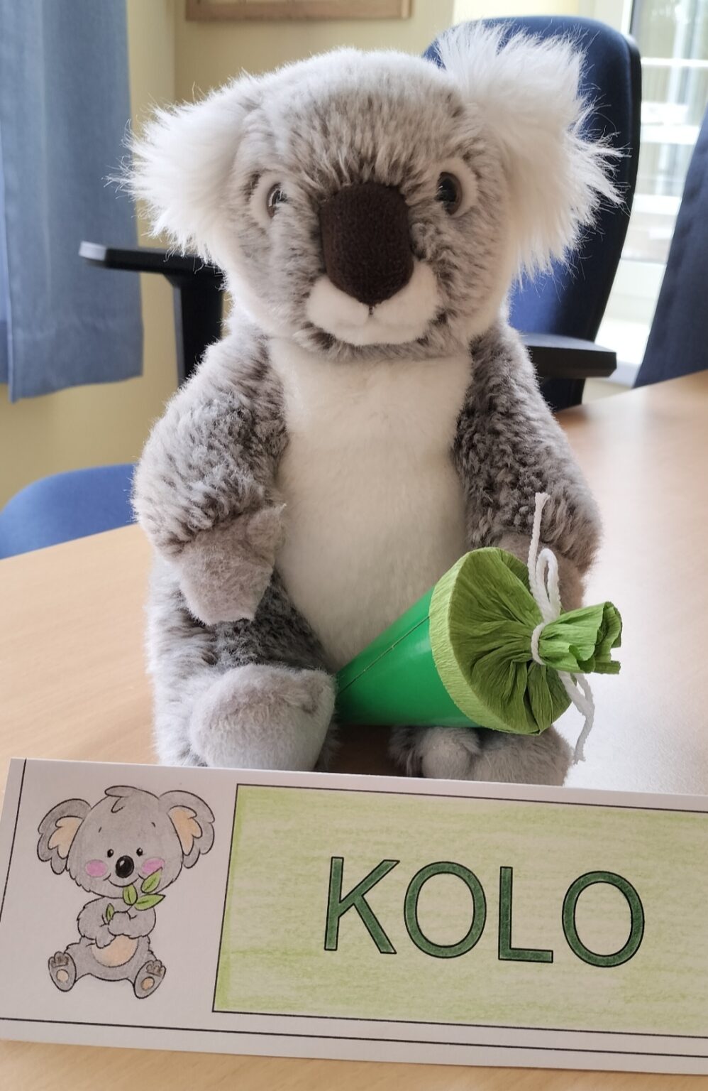 Koalaklasse 2d